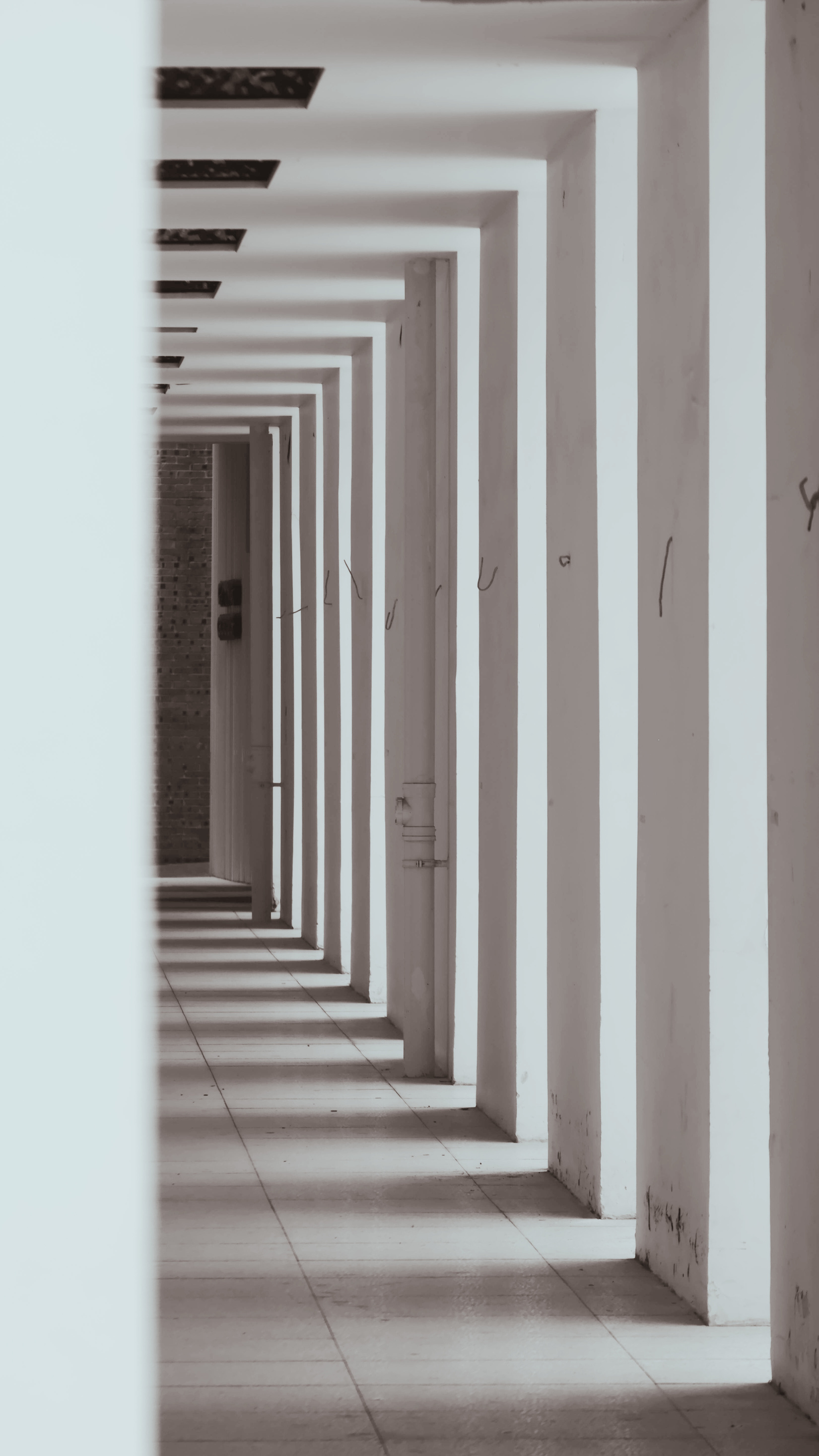 Columnas de un corredor arquitectónico